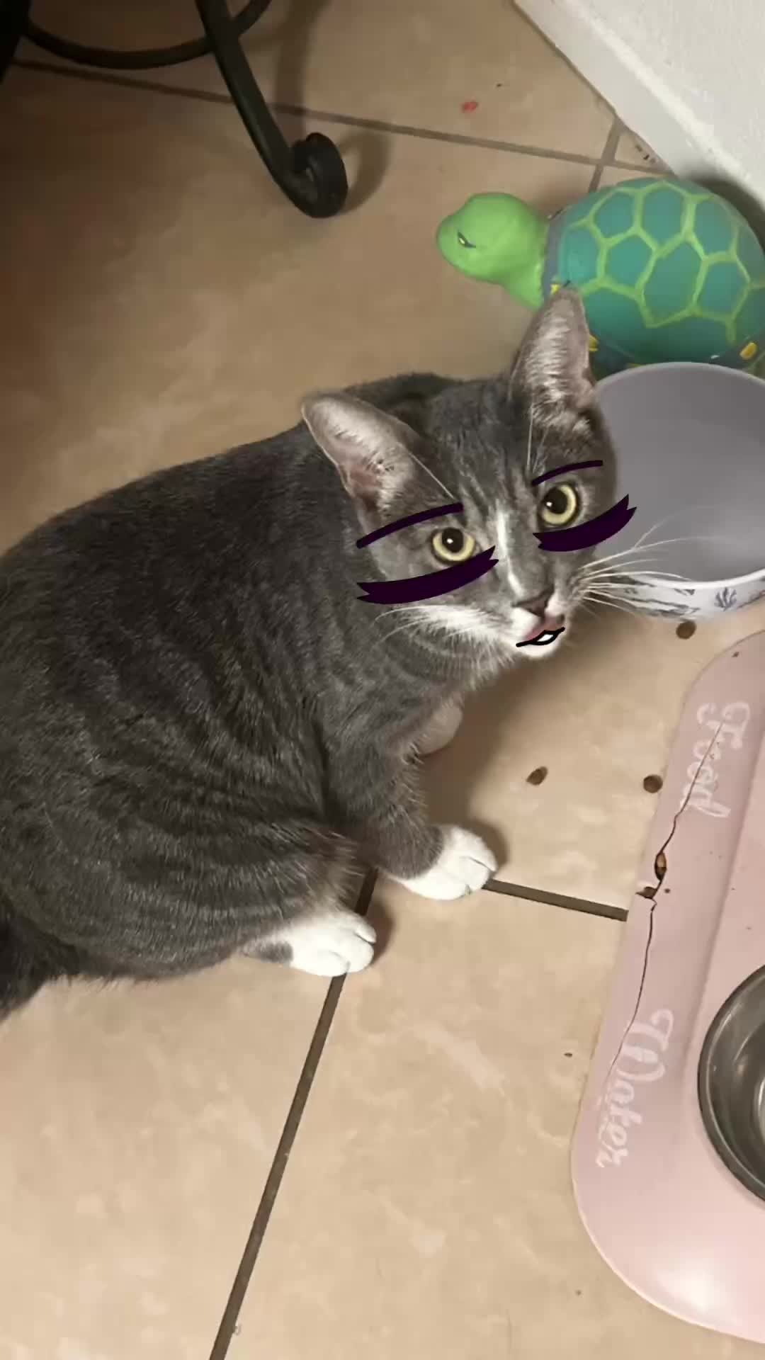 @dani