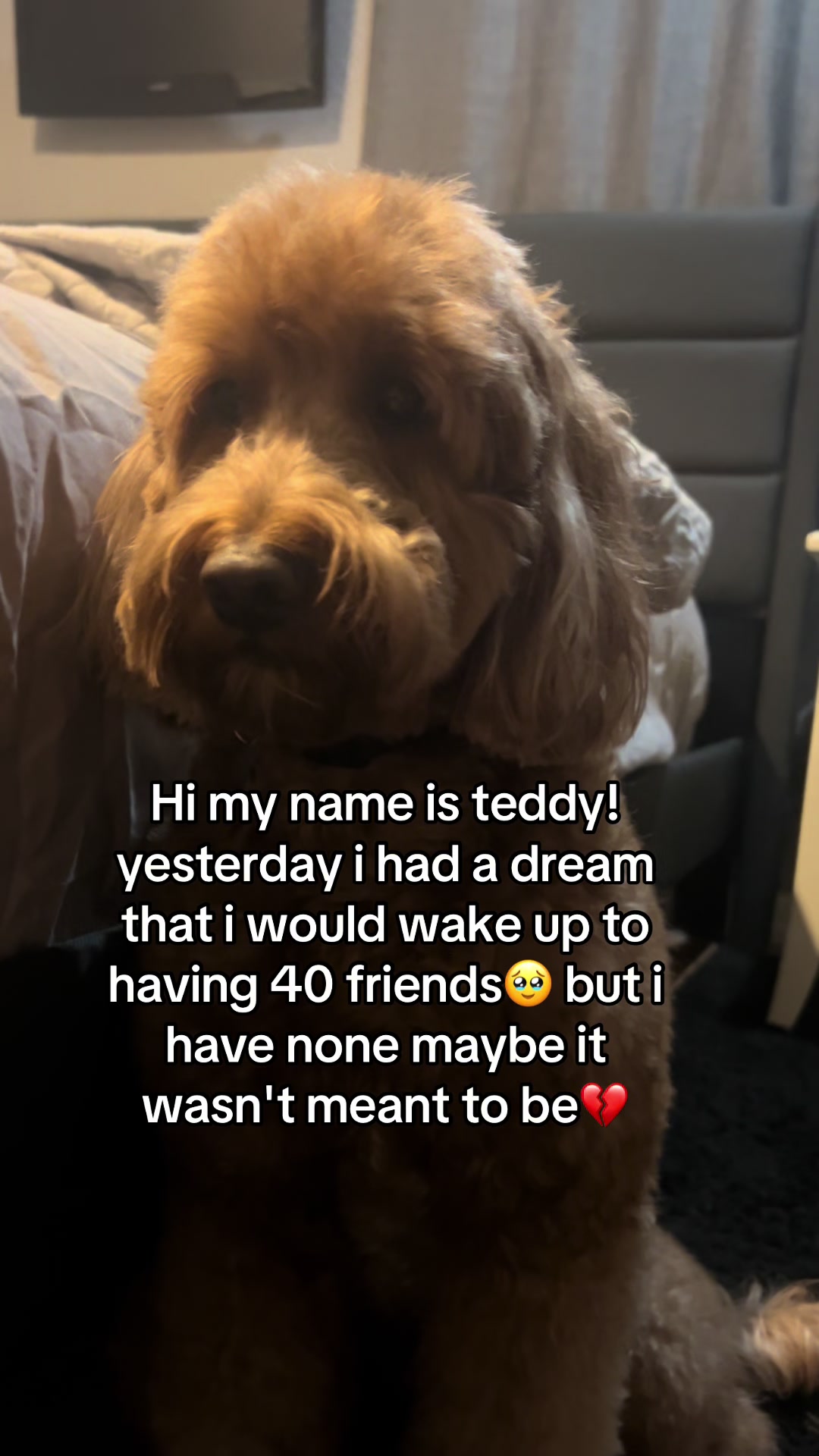 @Goldendoodlelover