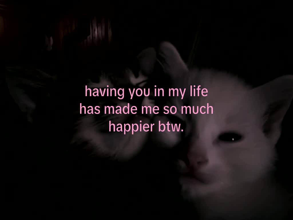 @mond