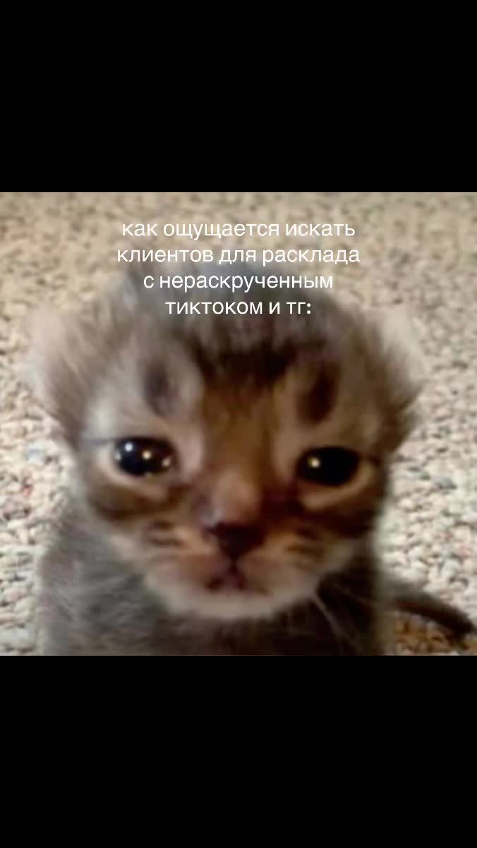 @твой таролог 🫶