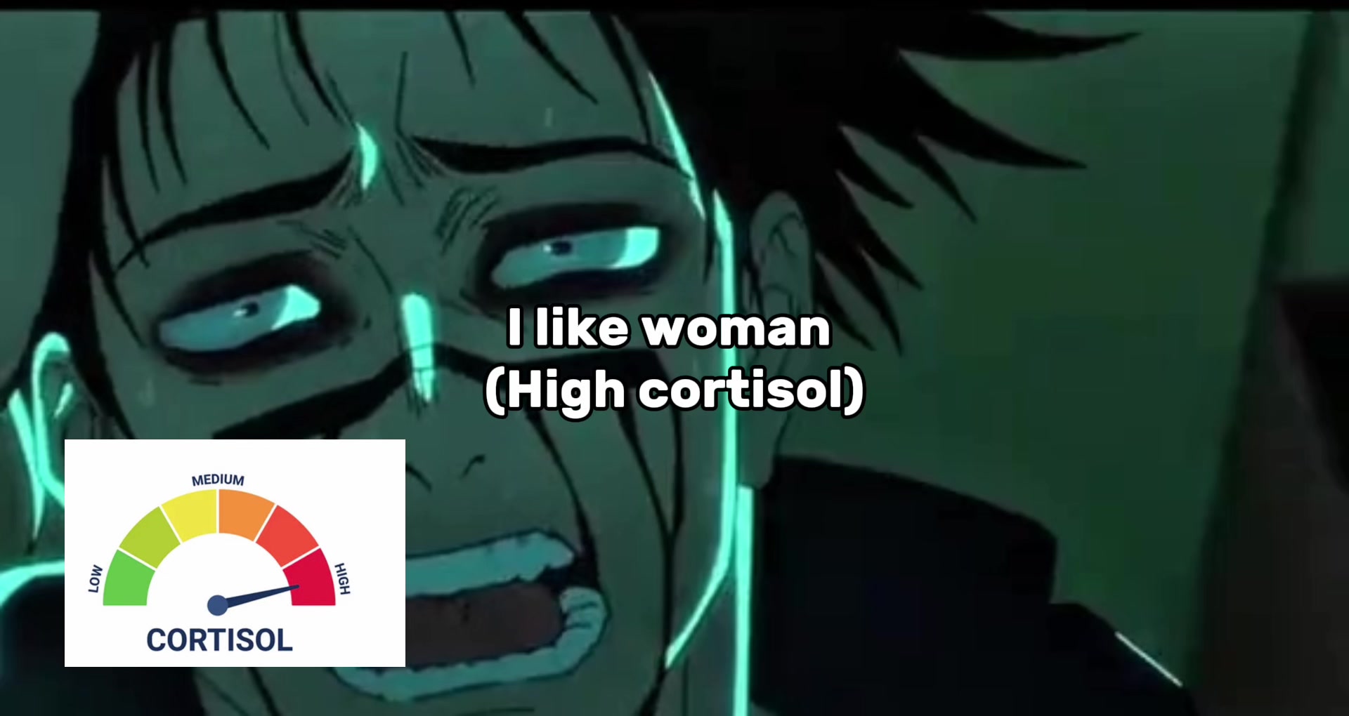 @teriyaki_the_second