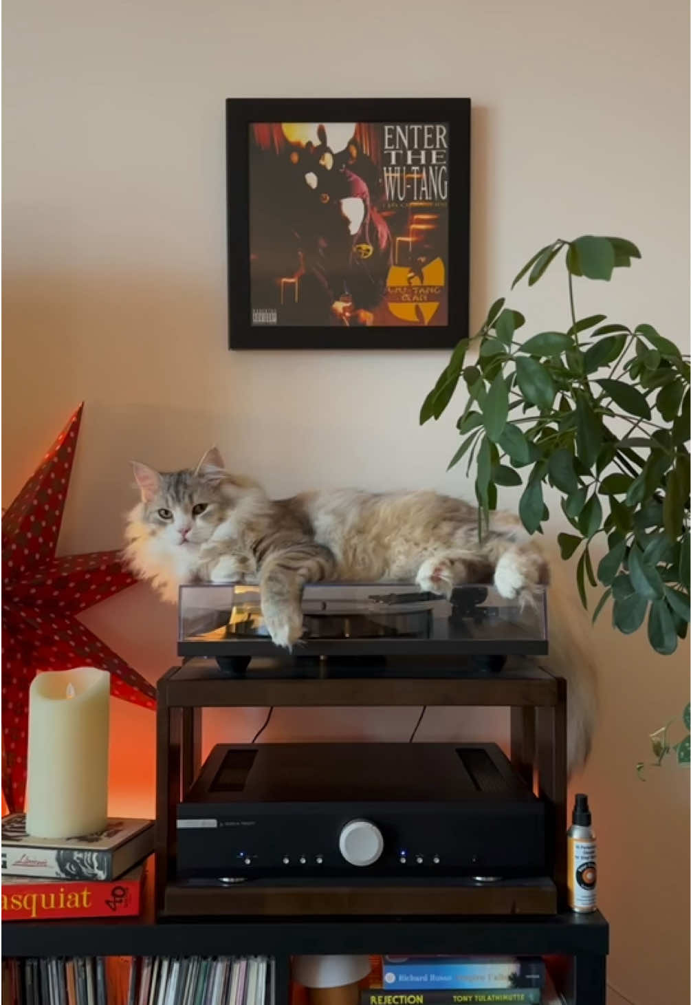 @Leon The Vinyl Cat