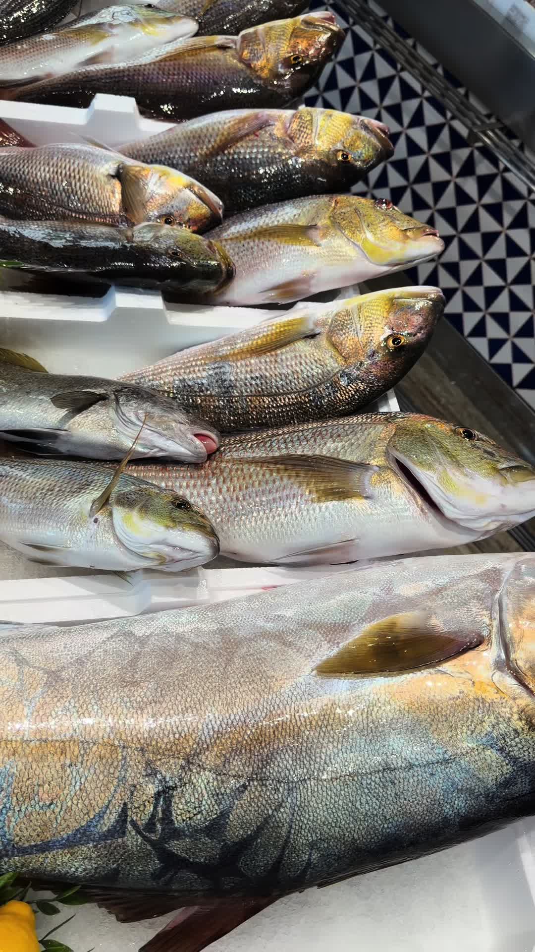 @Pescheria nautilus ostuni