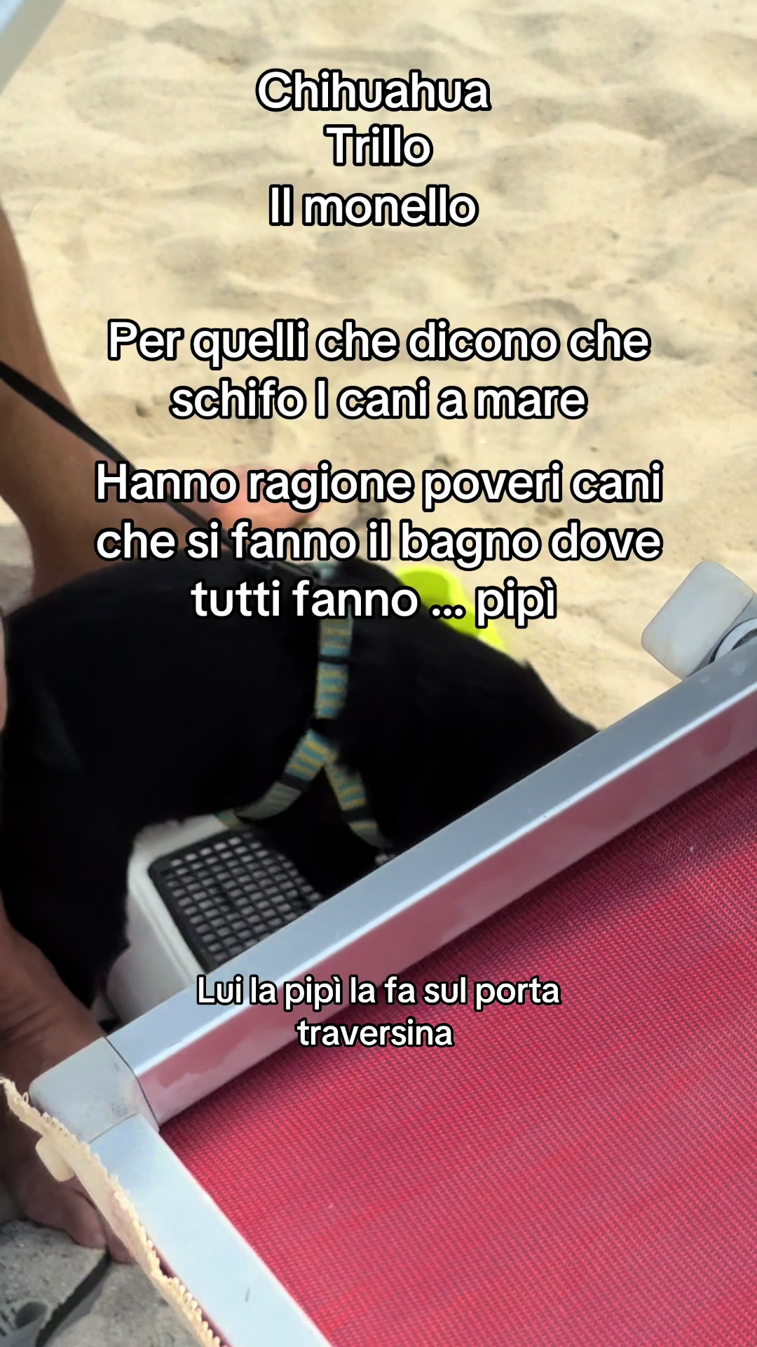 @annacuorvo877