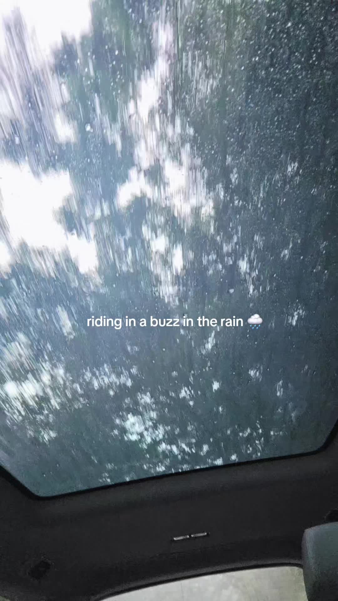 @ThatVeganBuzz