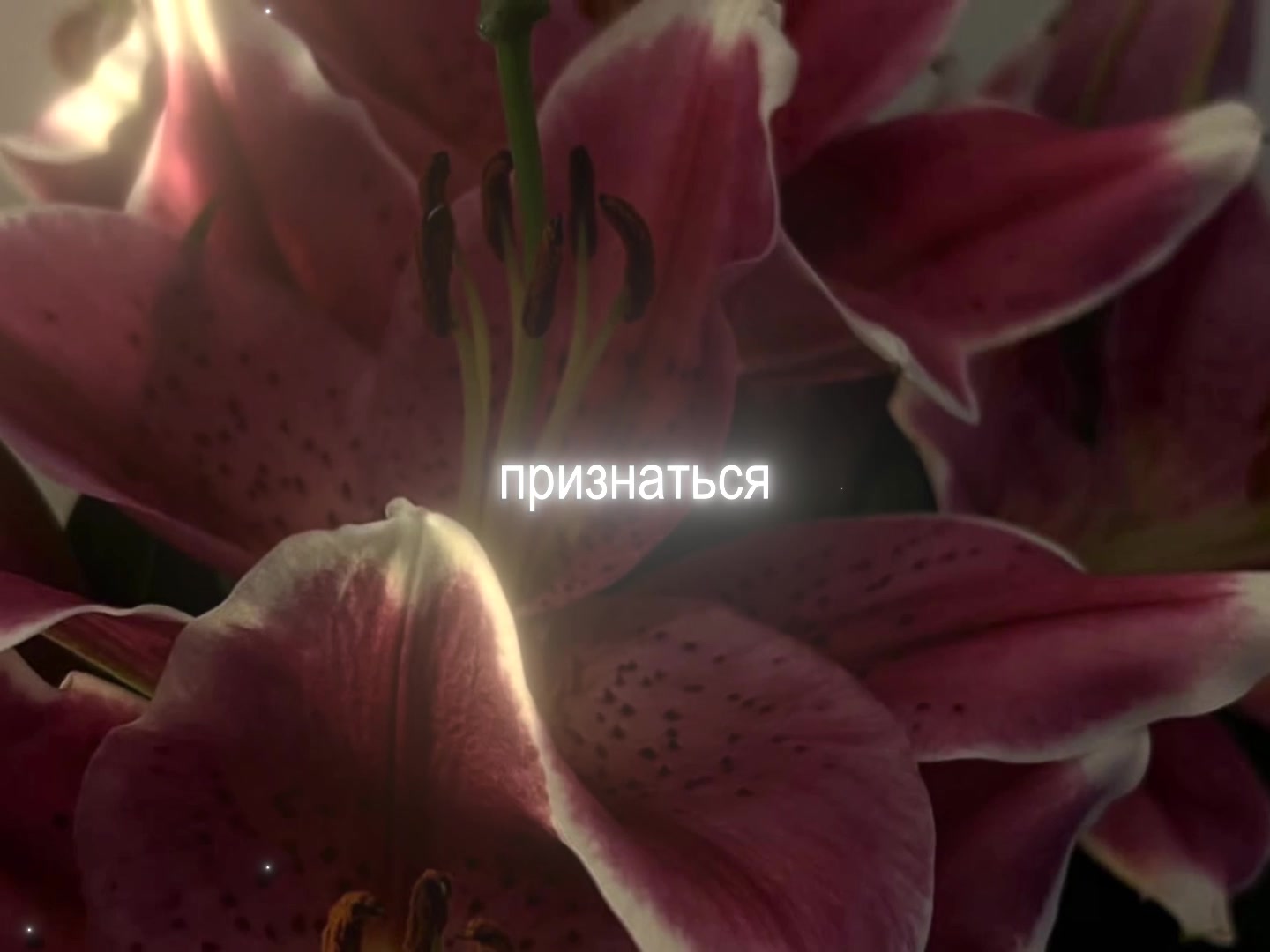 @звуки для липсингов