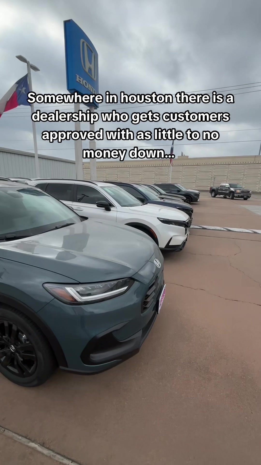 @Mckinleythecarplug