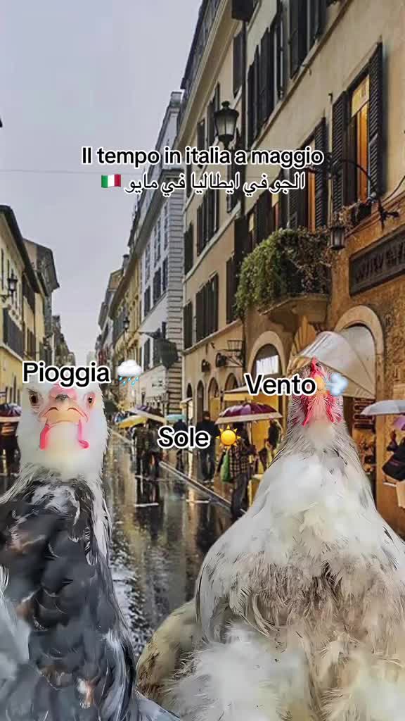 @رابحة الحولةstrabica✈️🤝🇮🇹