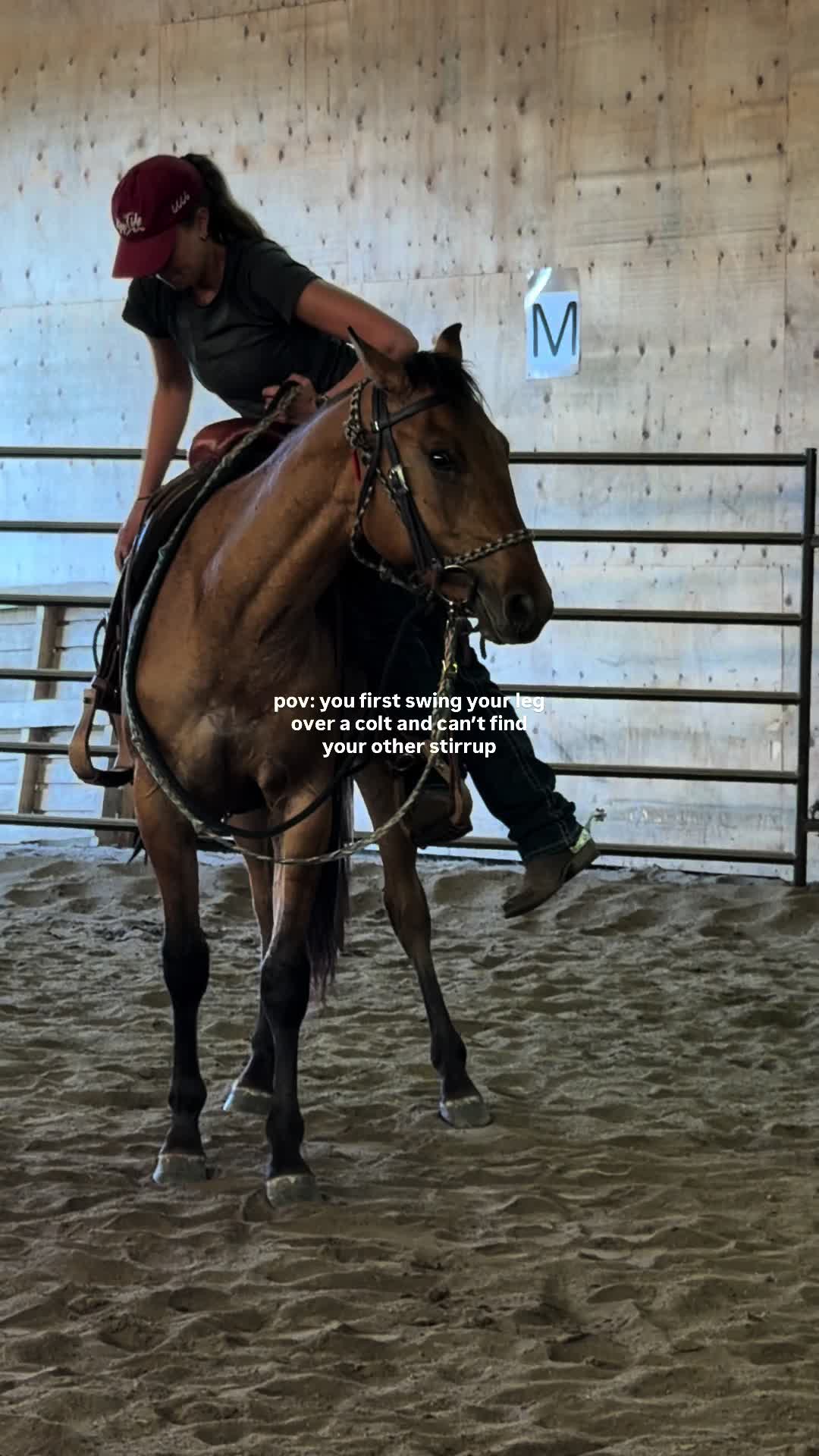 @Ranch Riders