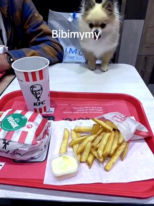 @Bibimymy