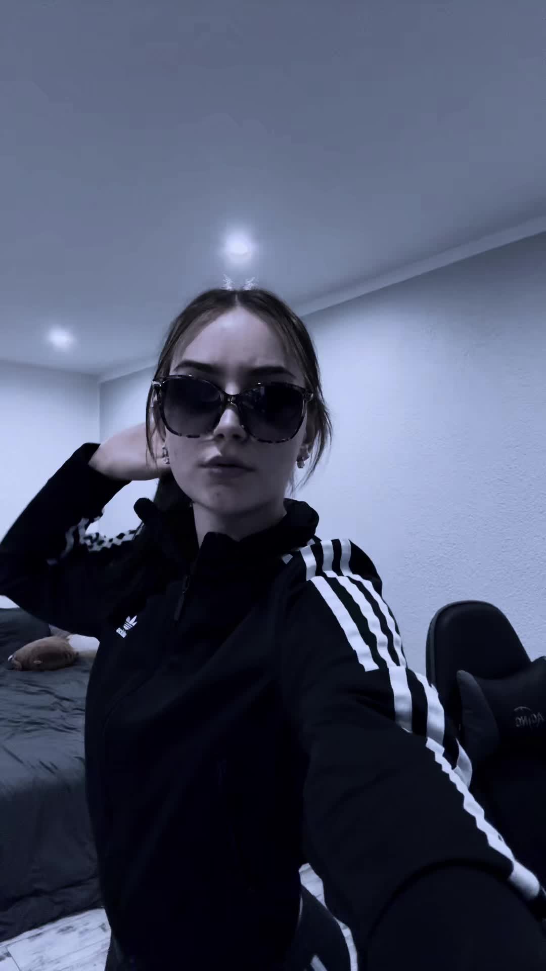 @hanztanztverschranzt
