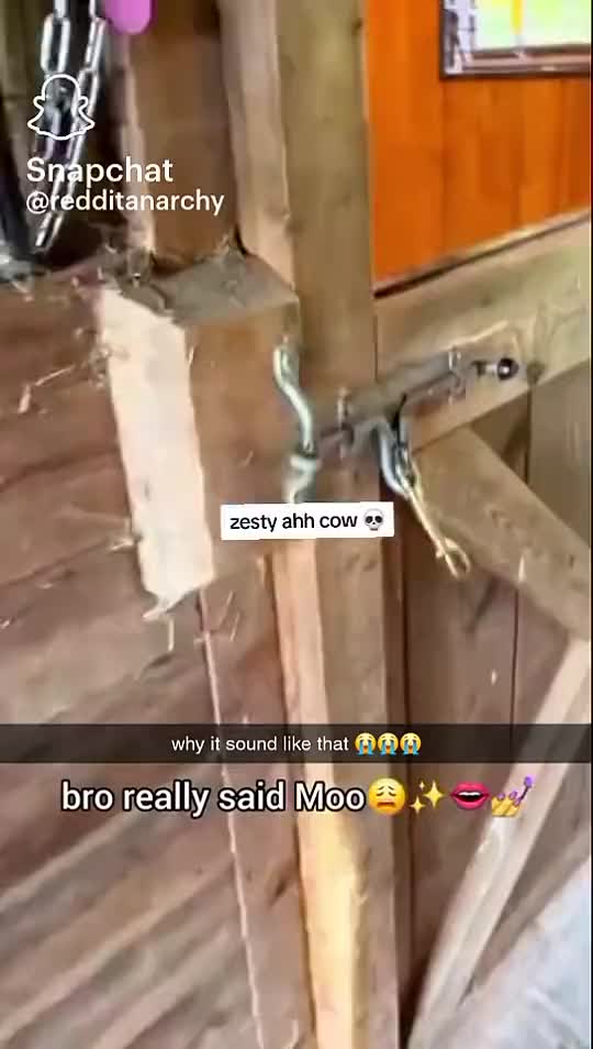 @Jamal