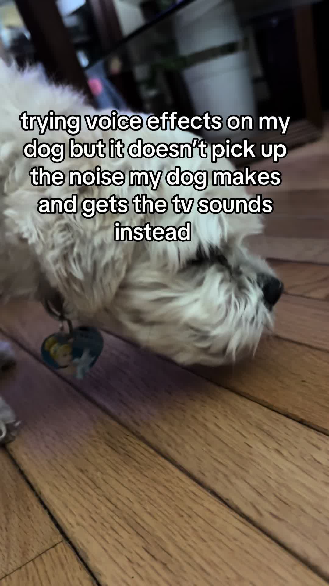 @𝓑𝓮𝓵𝓯𝓸𝓻𝓽
