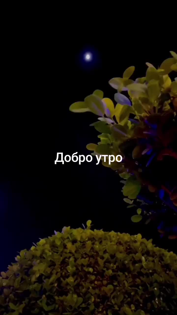 @Гю