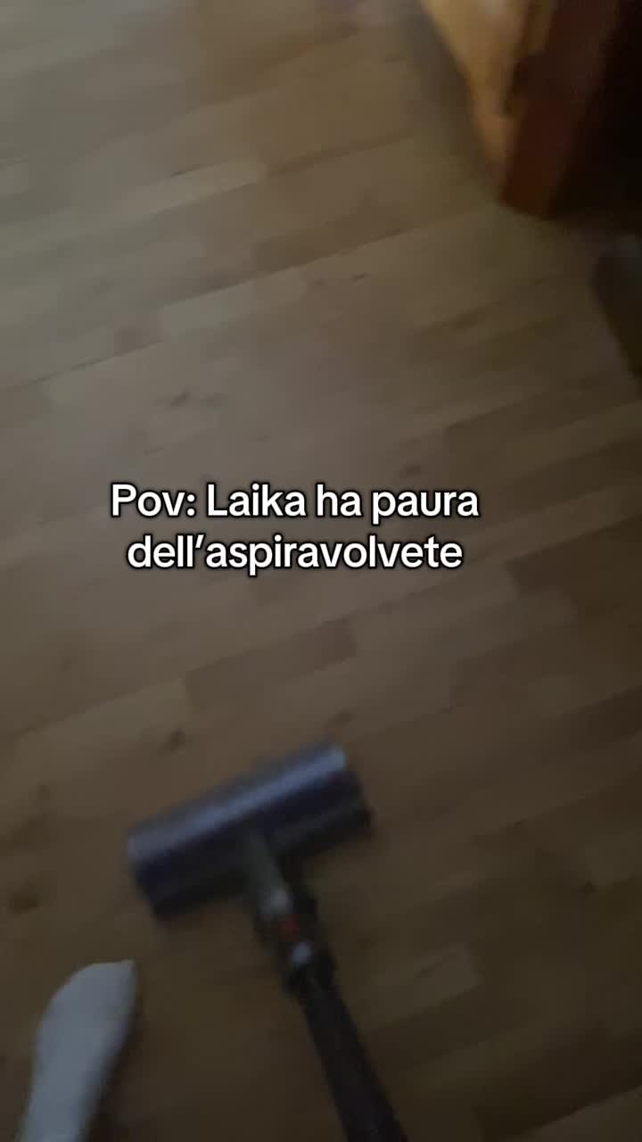 @elena_angheben
