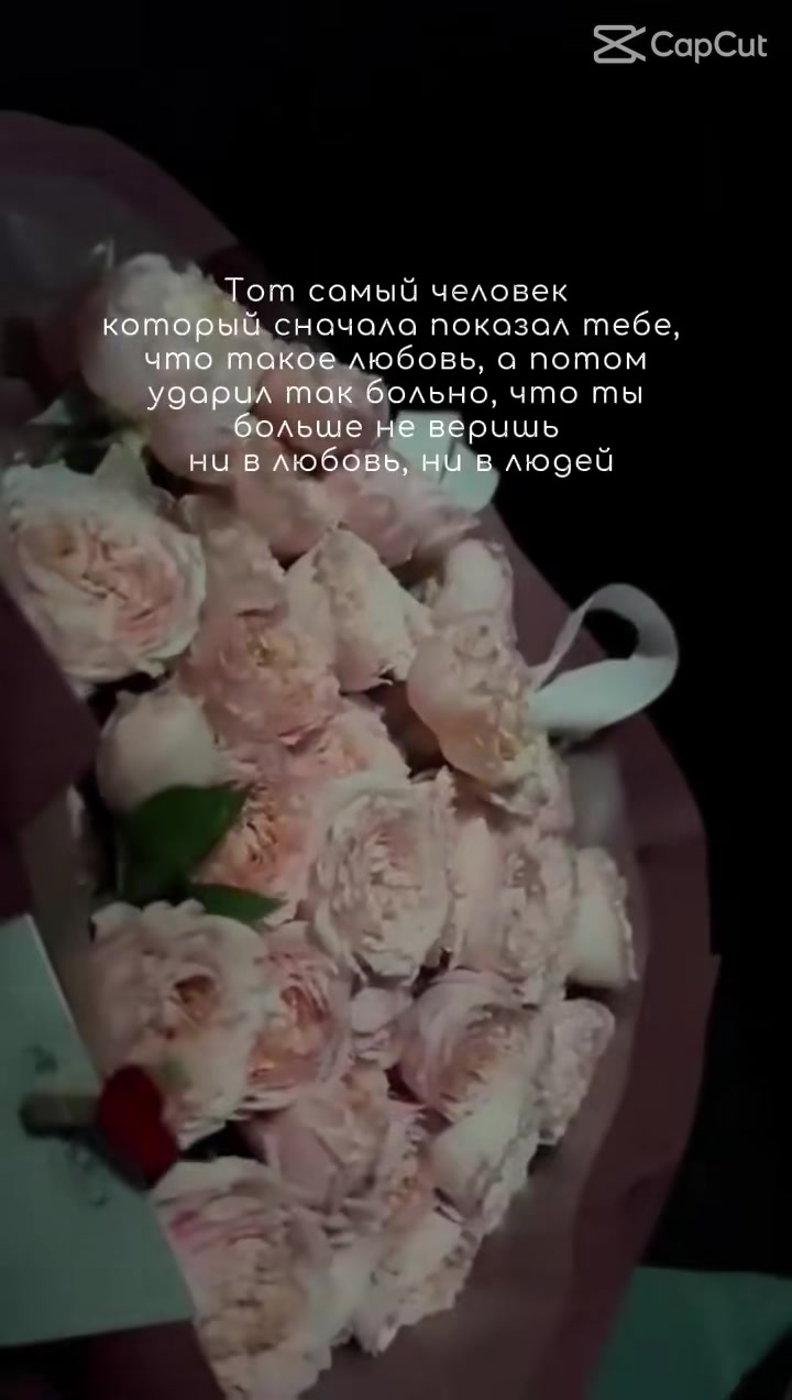 @🇷🇺 ᗞiᙅ੮ᗣ੮ᗜᖇ 🇷🇺