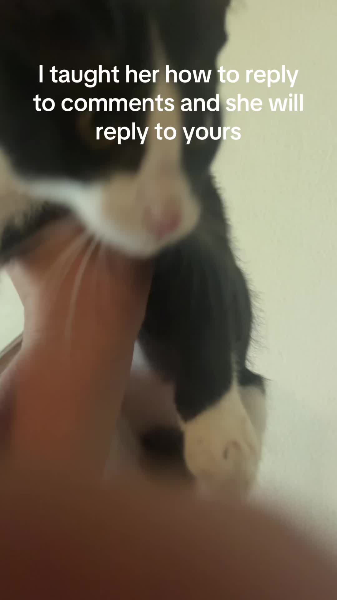 @T