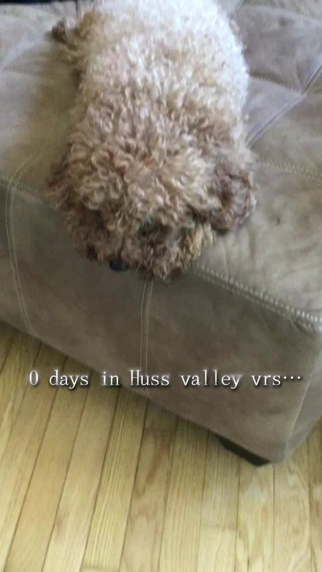 @Dannydawg