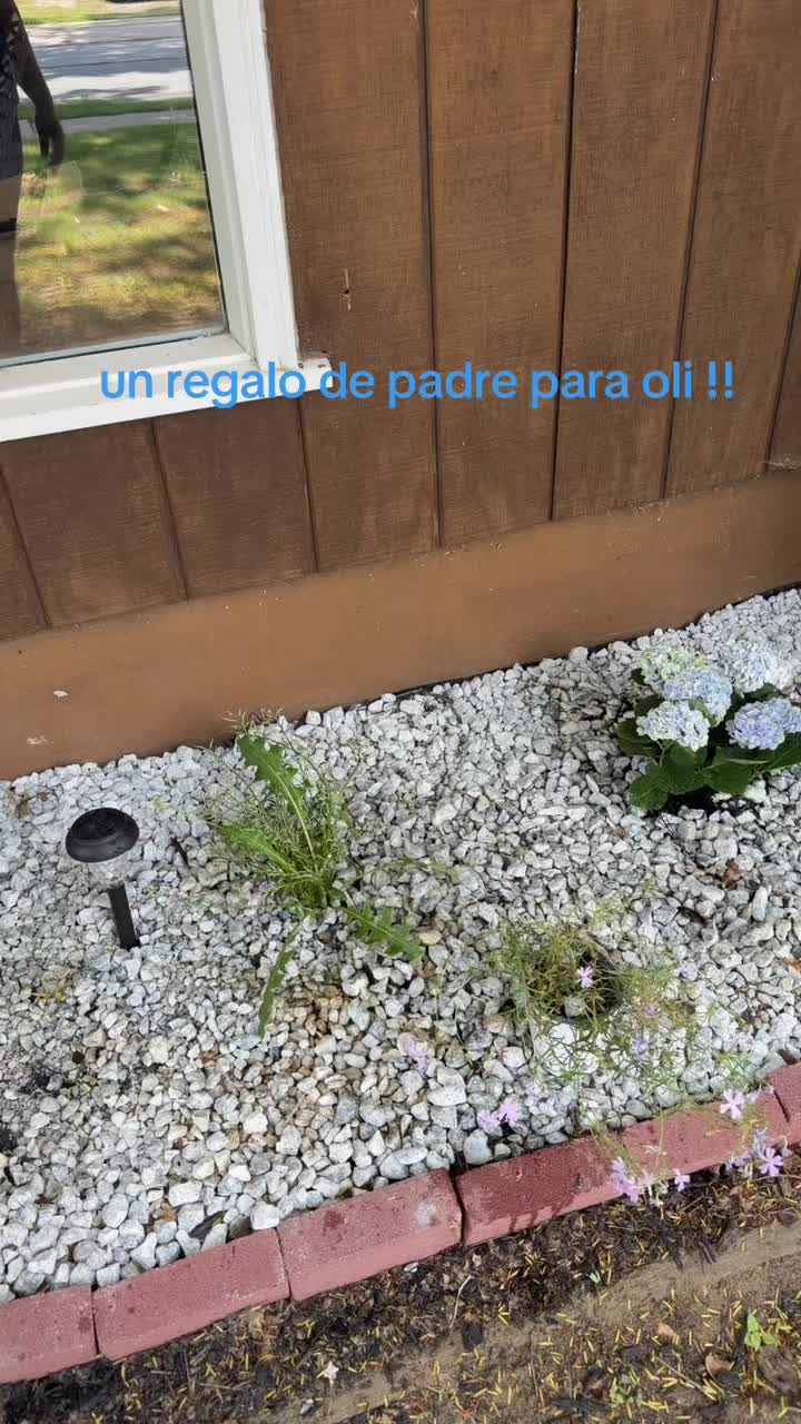 @Margarita Valdez