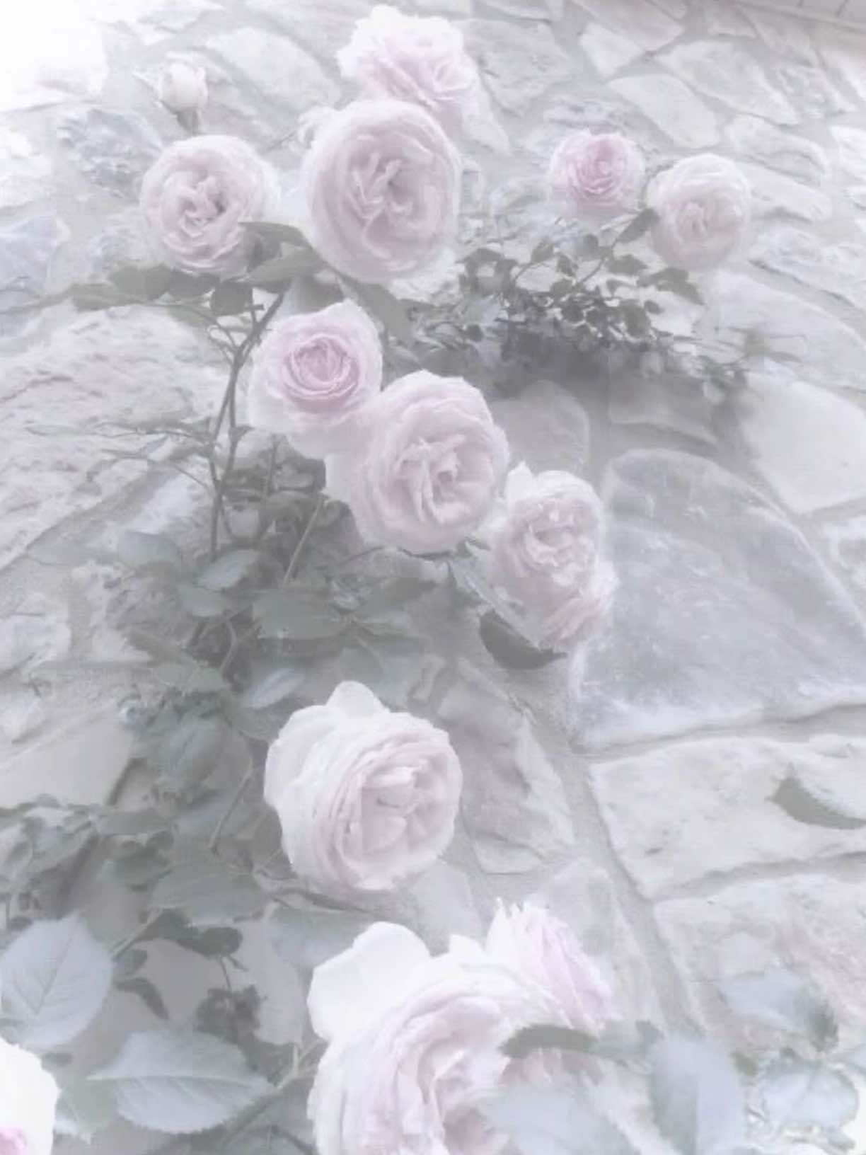 @๐๐ช๐ฏ๐ข๐ชฝ