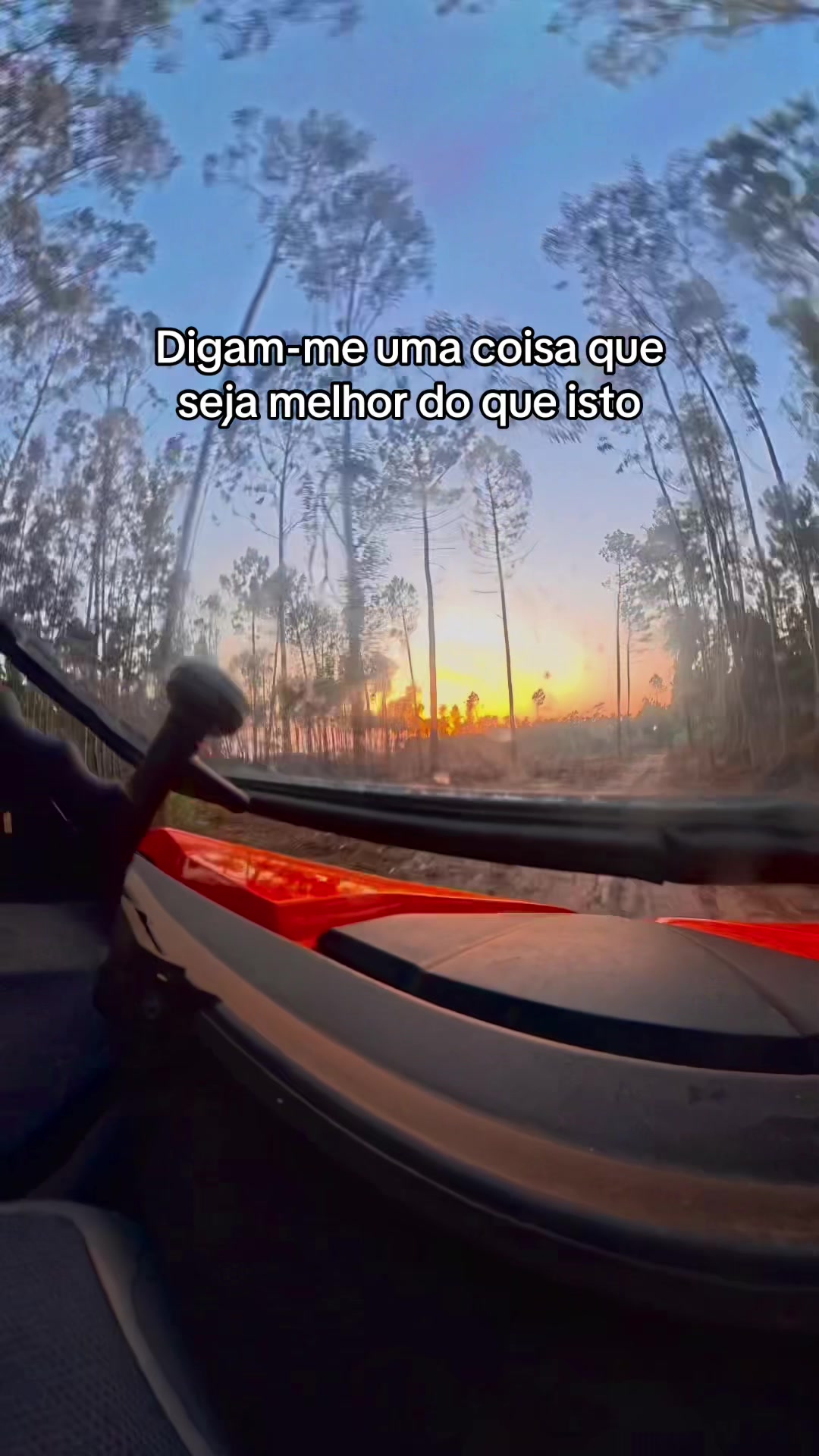 @Cátia Pintual