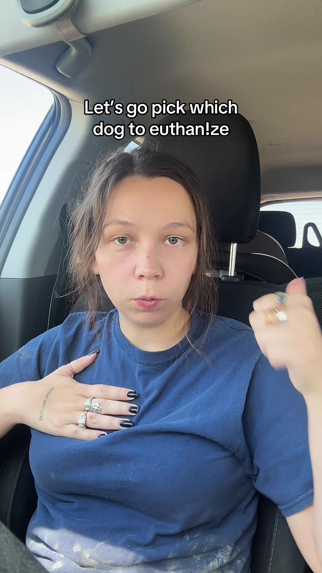 @Kayleigh + Dogs