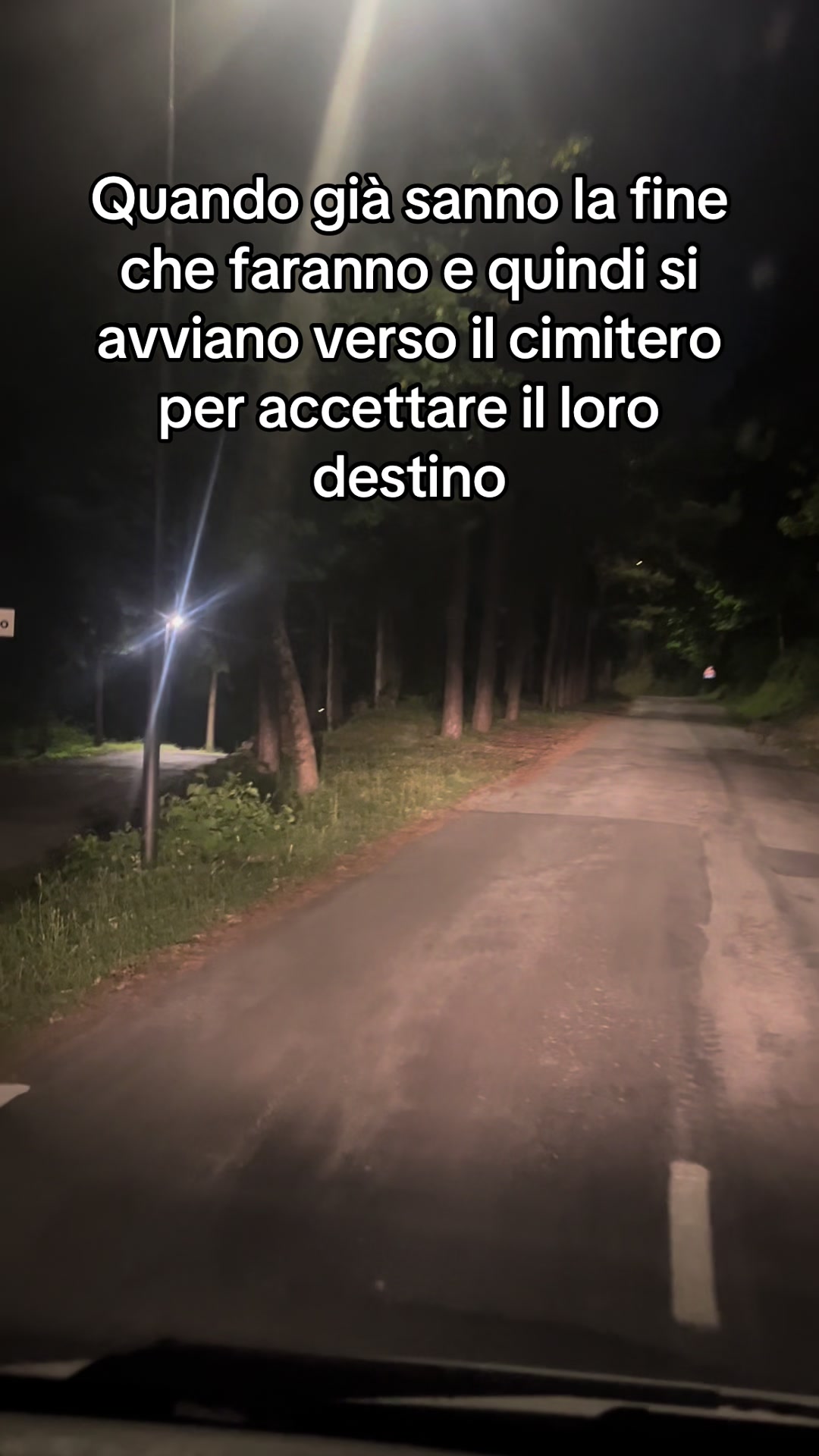 @Andrea D'Andrea