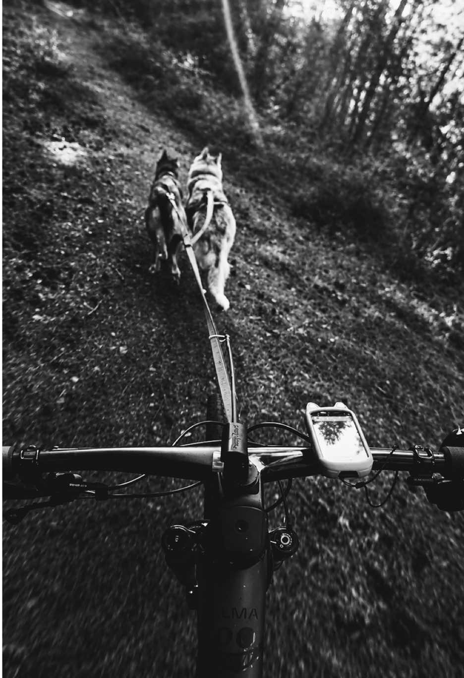 @Agnieszka Ignaszak bikejoring