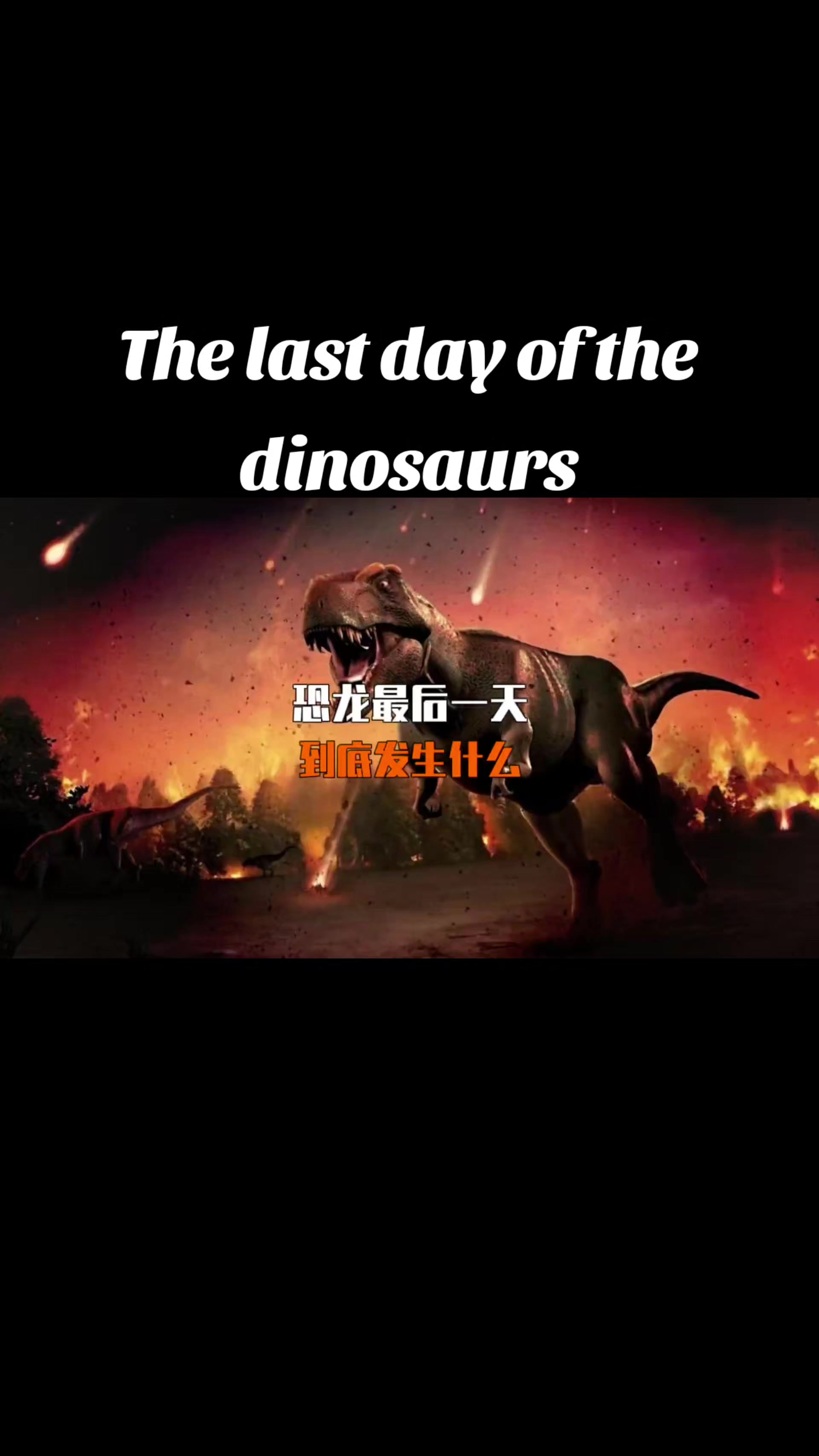 @Tony（自在）
