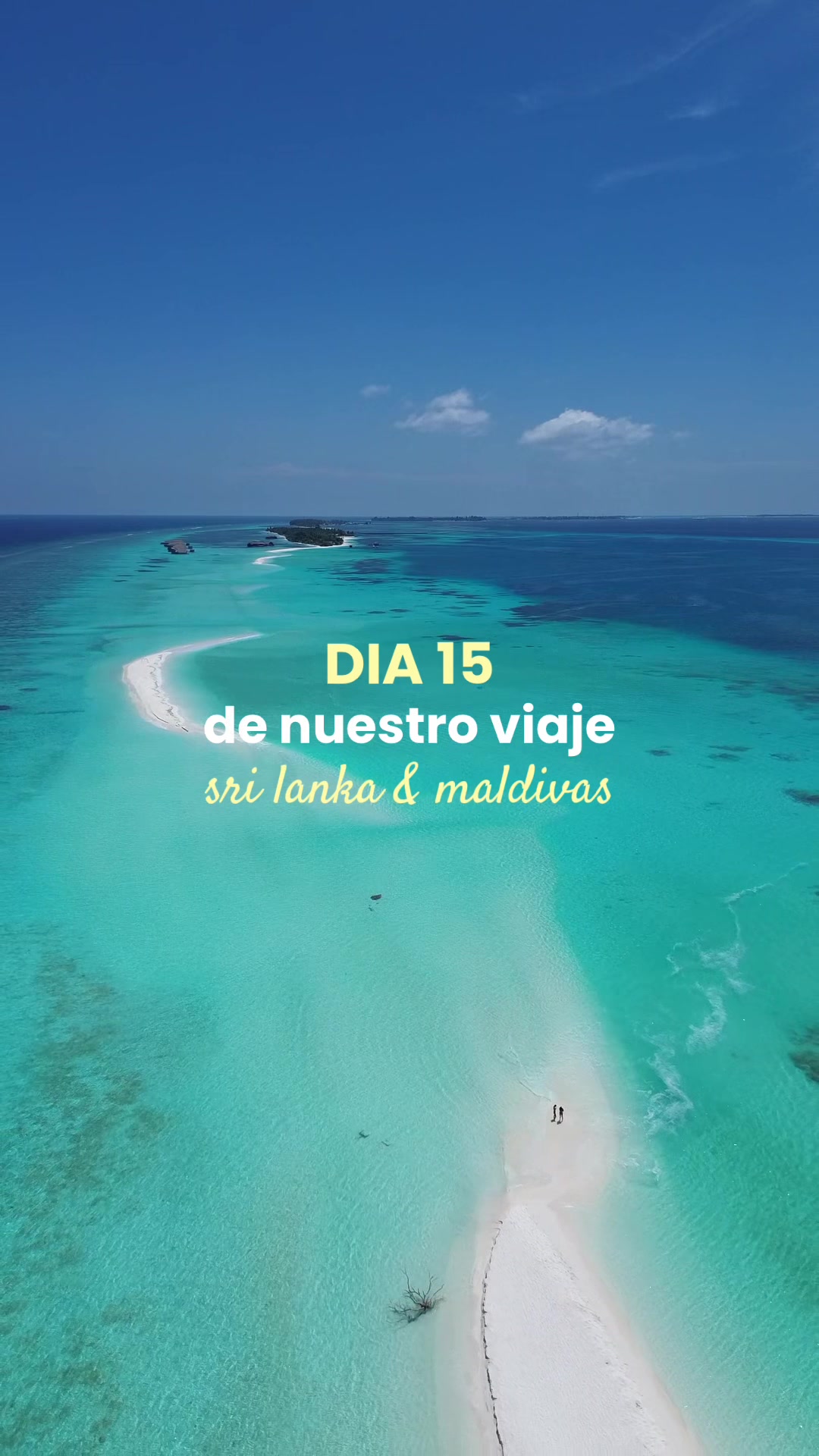 @Laia Ruiz