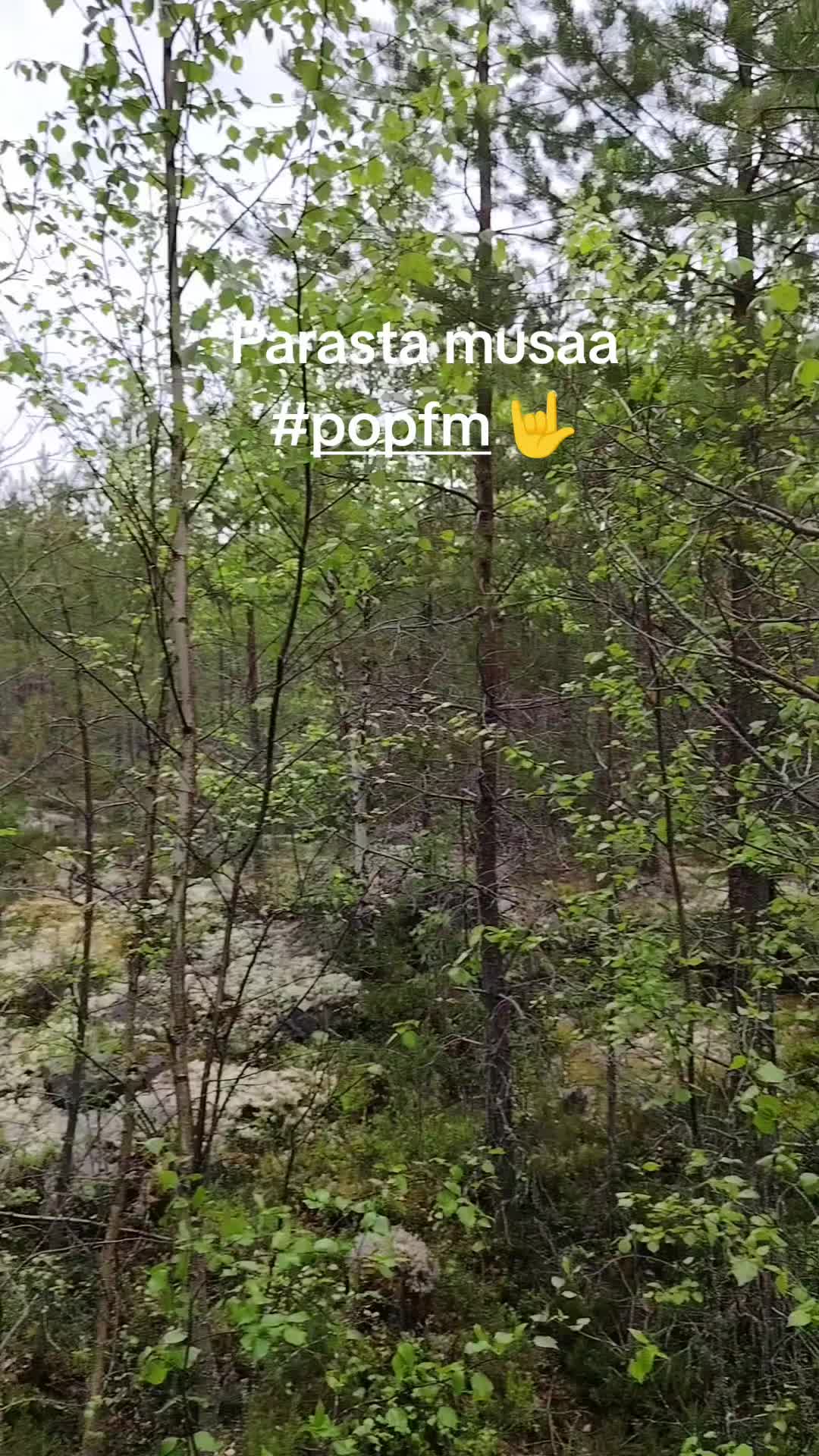 @🫎herra_hirvi🫎