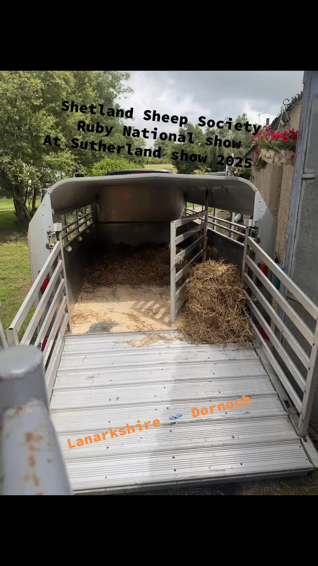 @Annavale&Biggarburn Shetlands