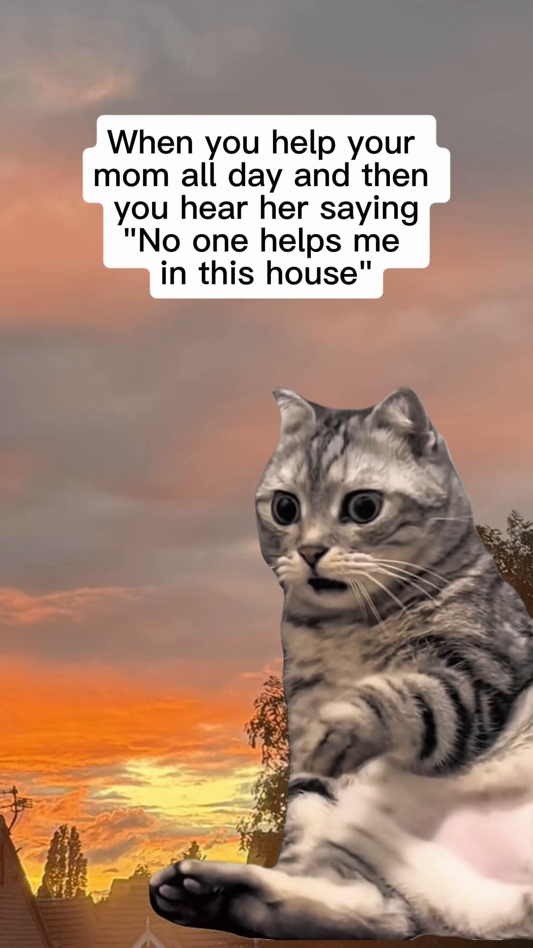 @gemma