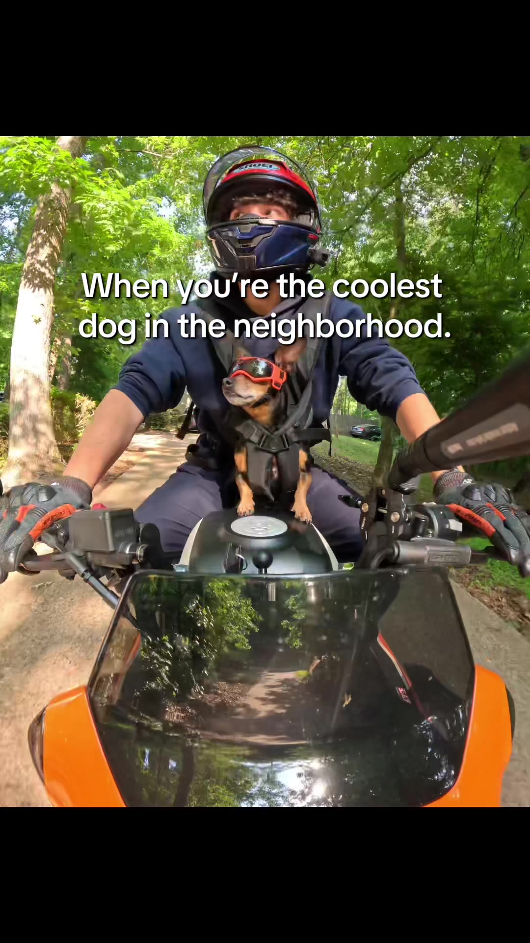 @Jyrvo