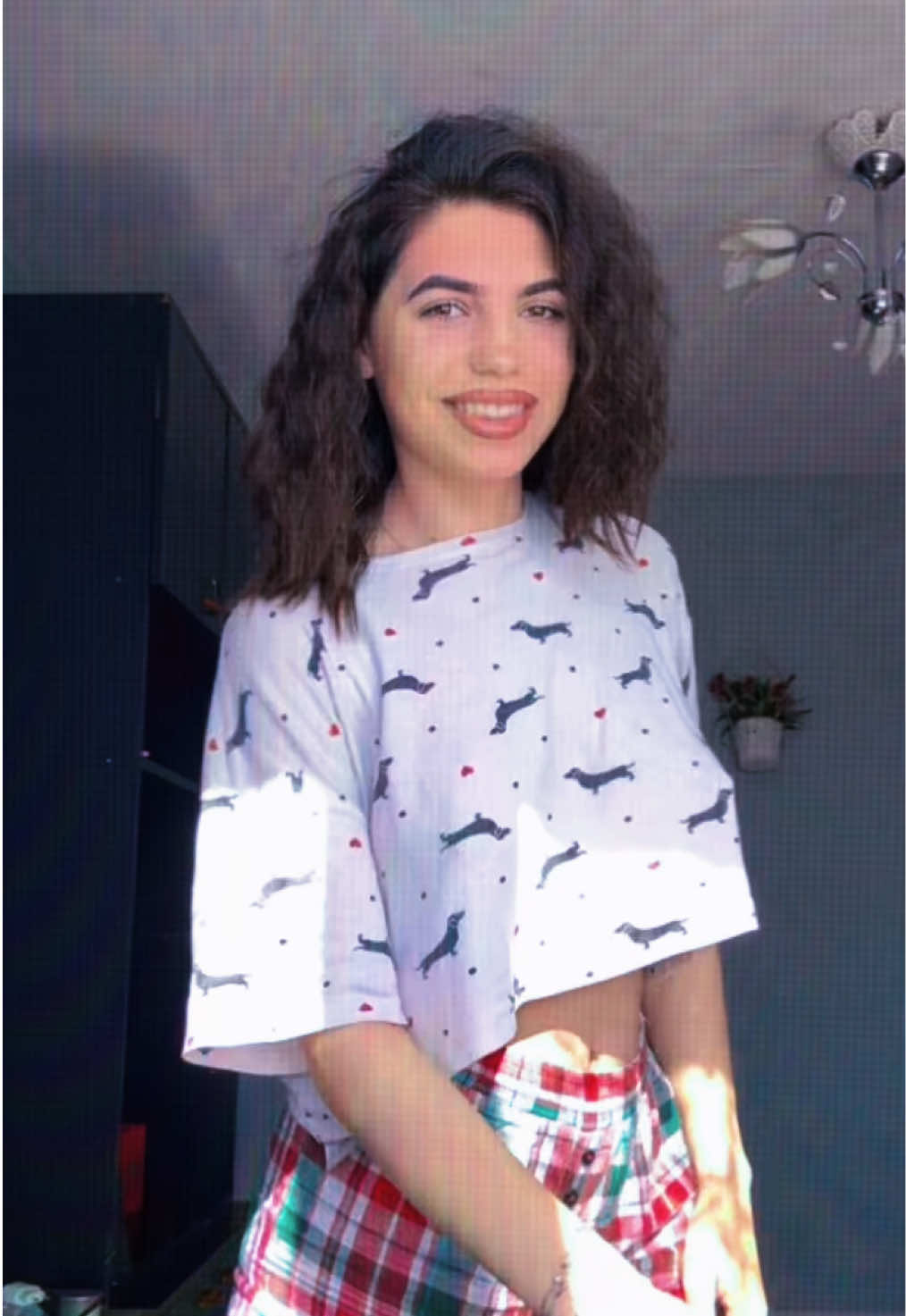 @stefii.scm