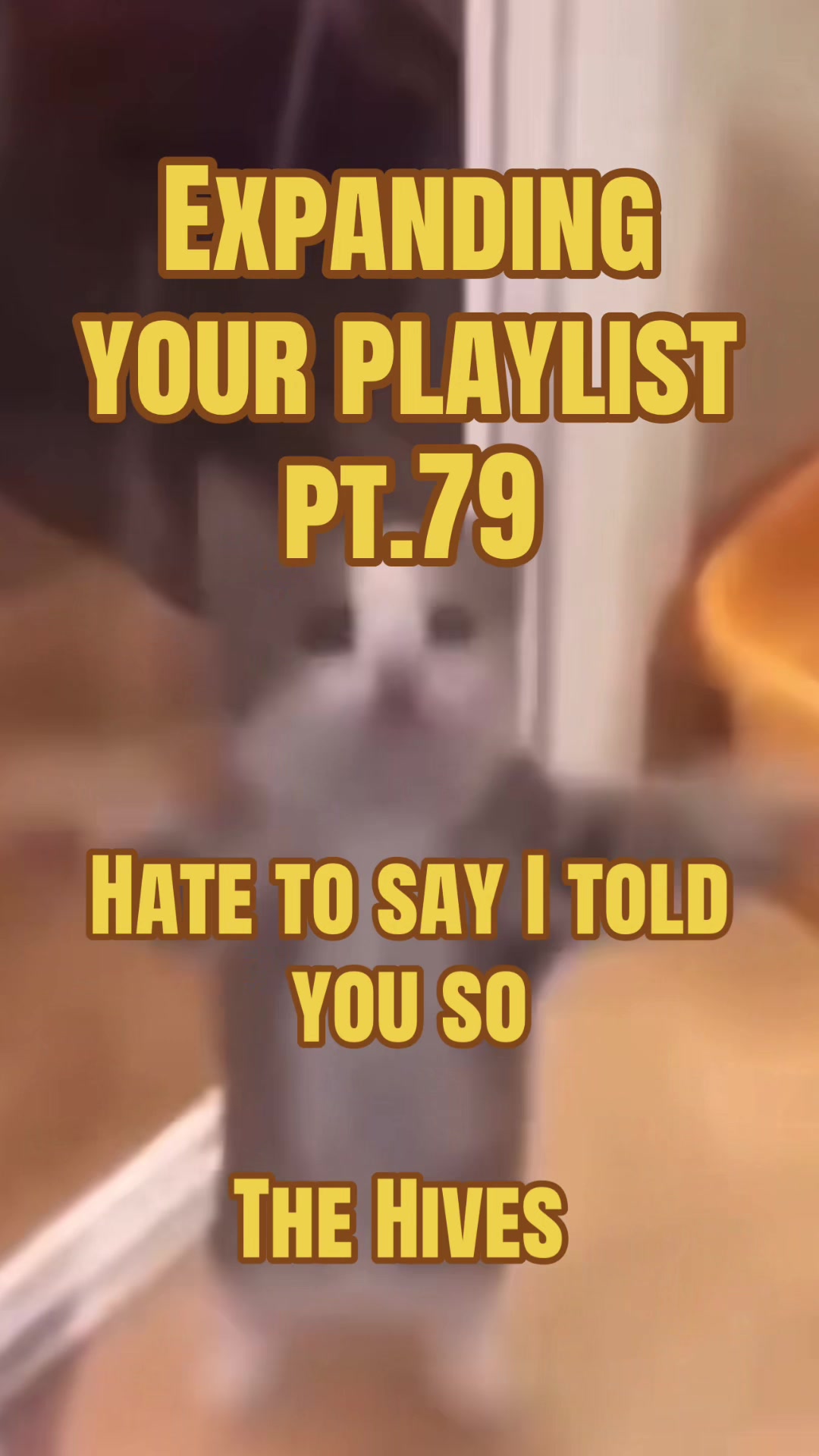 @DailyMusicGuy