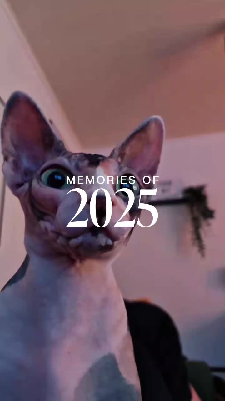 @Mölli 👑
