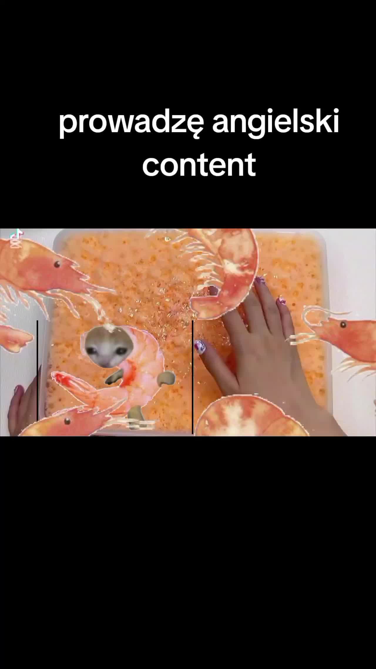 @brat krewetki