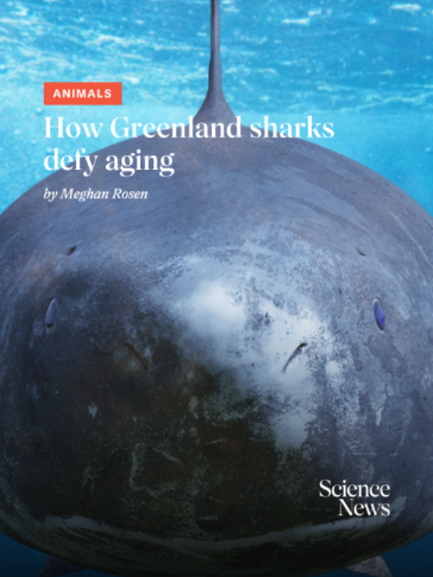 @Science News