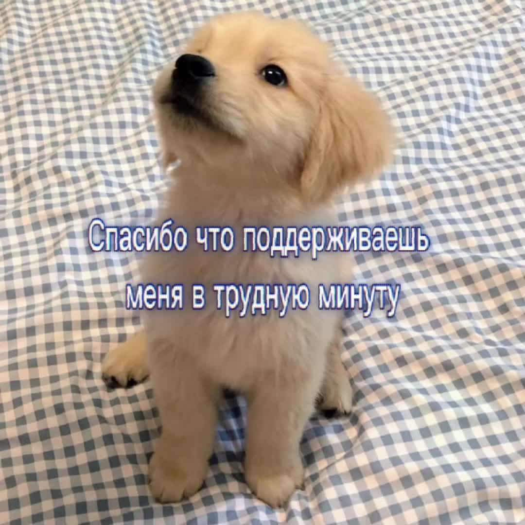 @Я люблю Машулю