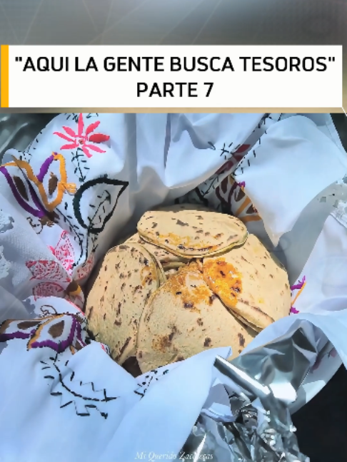 @Videos De Mi Querido Zacatecas