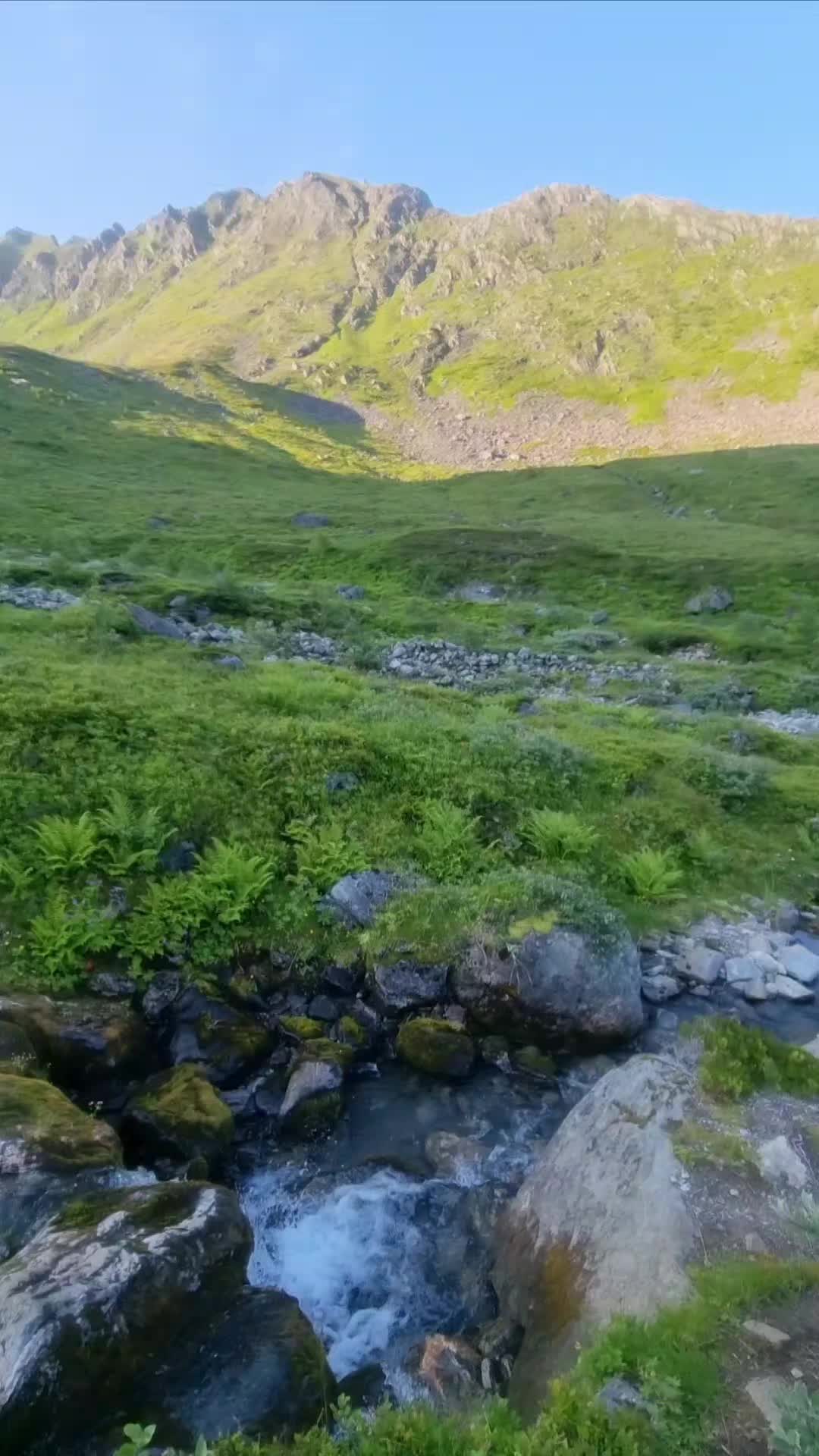 @PM💚