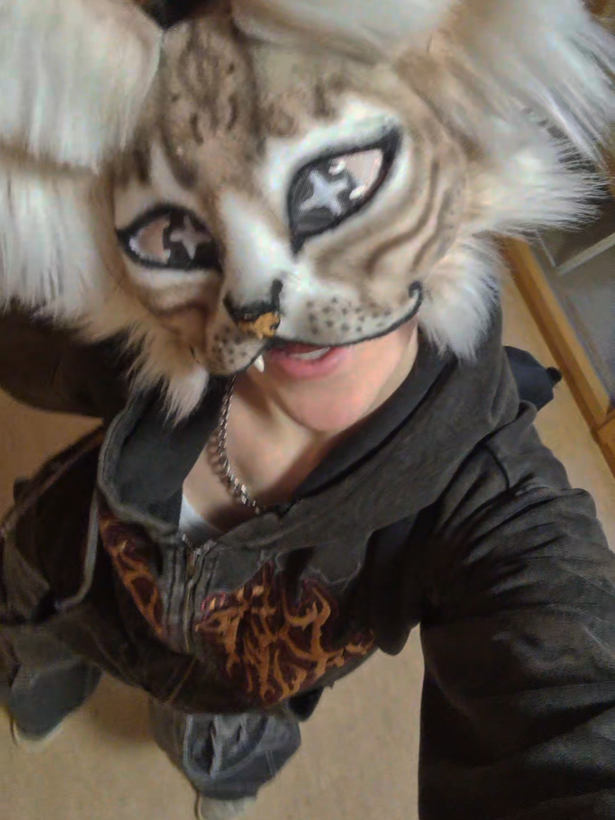 @☆sillydog☆