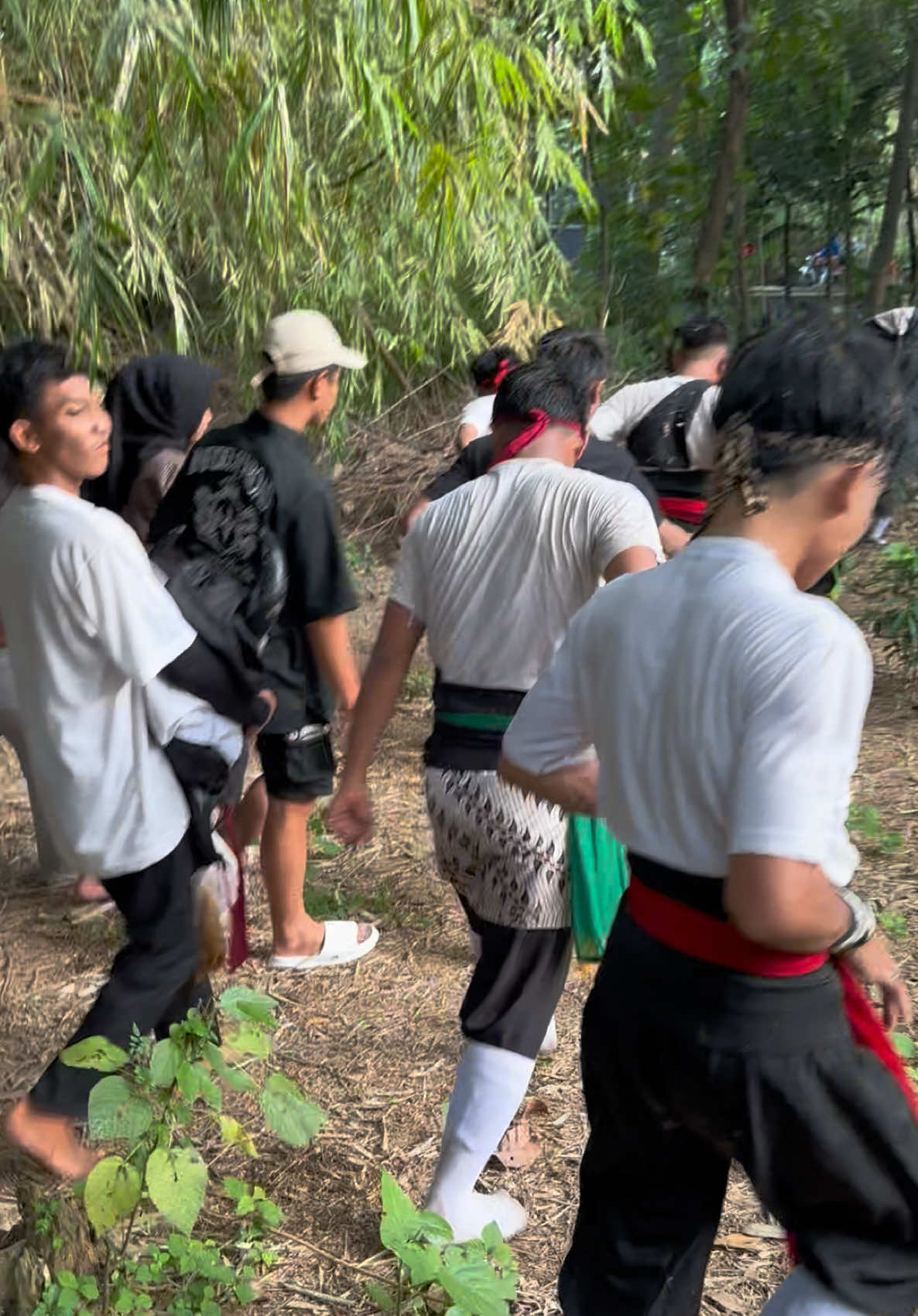 @Putro Taruno Jati Melati