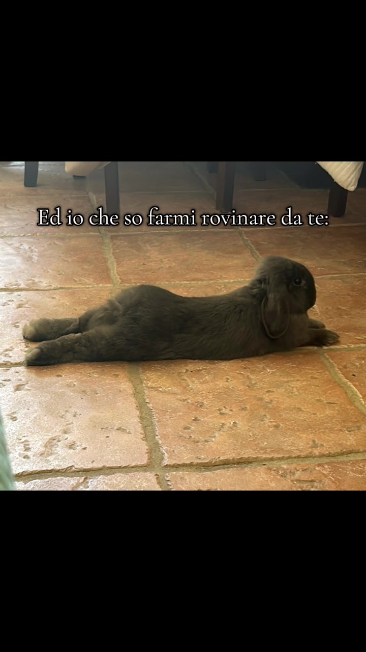 @Peter Rabbit