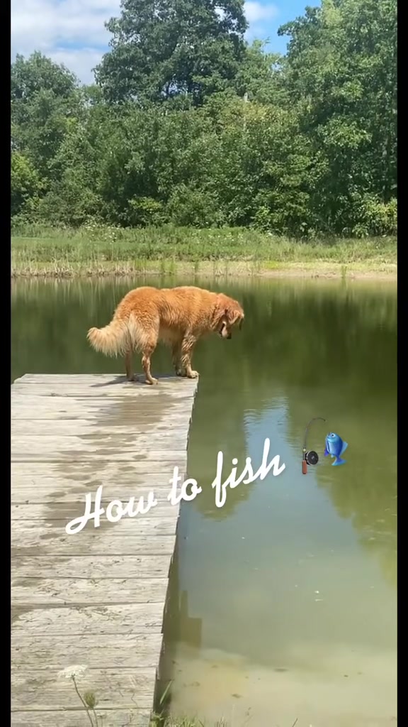 @TheHuntingJunkie