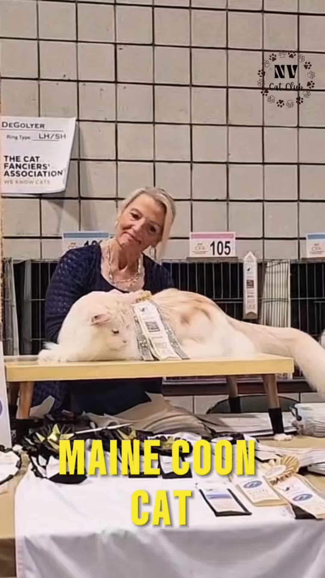 @NewVisionCatClub