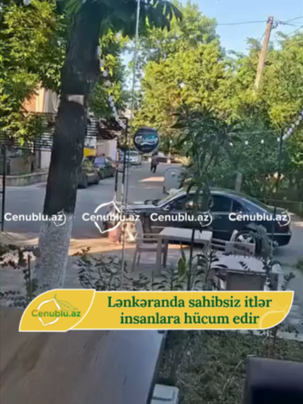 @Cenublu Az