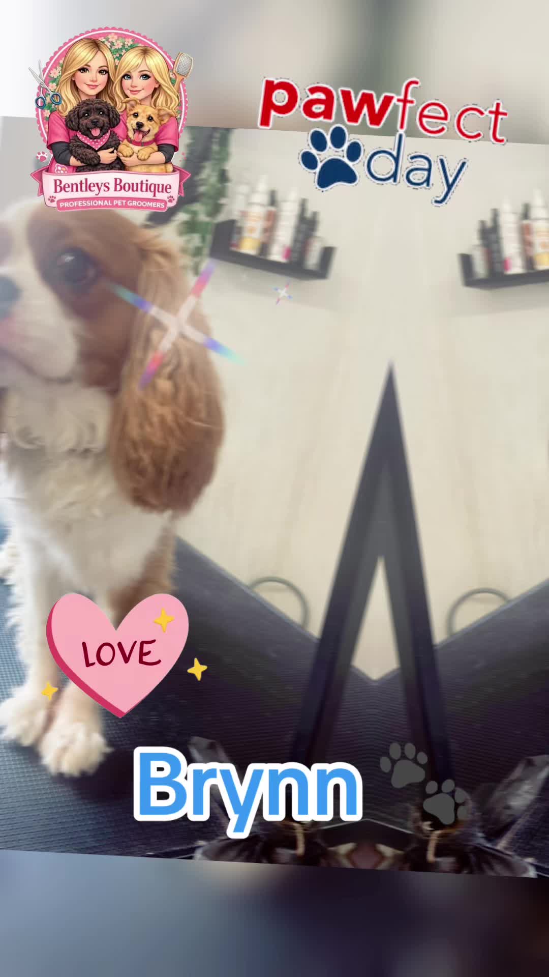 @Bentleys Boutique Pet Groomers