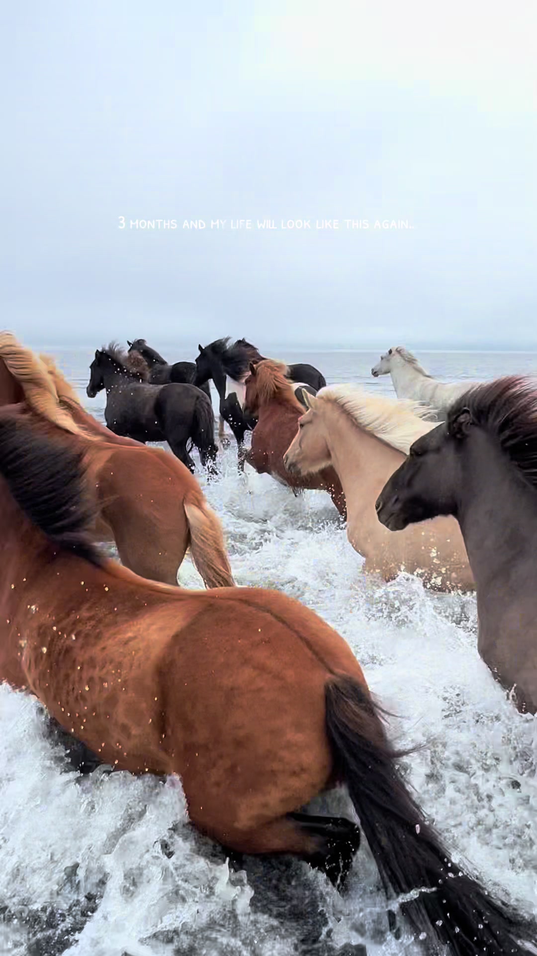 @nordwind_reitreise